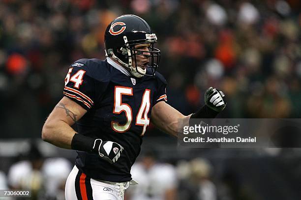 Brian Urlacher of the Chicago Bears celebrates as he runs off the field after Nathan Vasher of the Bears recovered a fumble by Marques Colston of the...