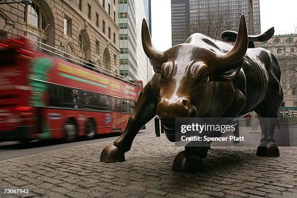 Tour bus passes the Wall Street bull in the financial district January 22, 2007 in New York City. In a study commissioned by New York City Mayor...