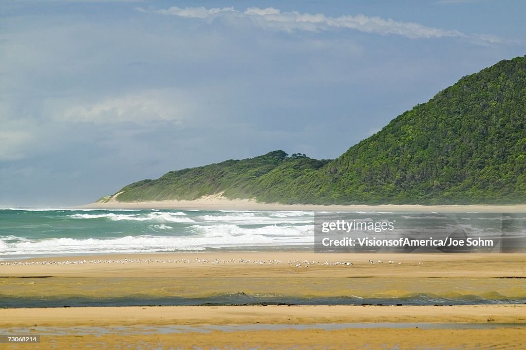 "Indian Ocean seascape and sandy beach at Greater St. Lucia Wetland Park World Heritage Site, St. Lucia, South Africa"