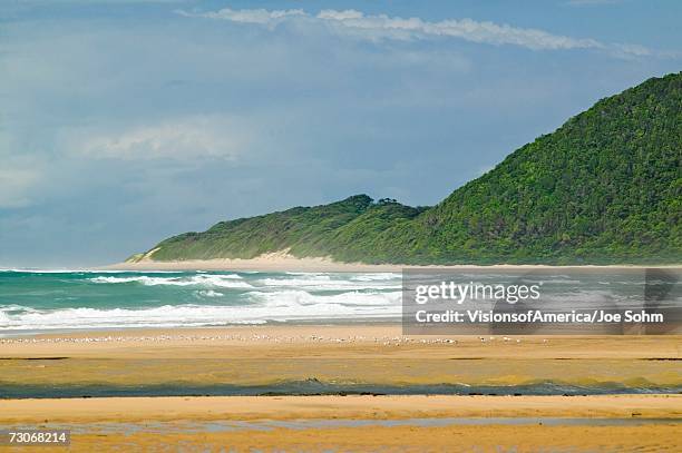 "indian ocean seascape and sandy beach at greater st. lucia wetland park world heritage site, st. lucia, south africa" - zululand bildbanksfoton och bilder