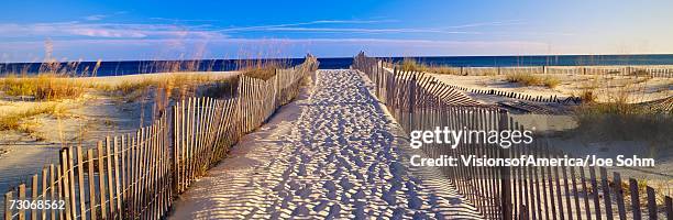 "pathway and sea oats on beach at santa rosa island near pensacola, florida" - pensacola beach stock-fotos und bilder