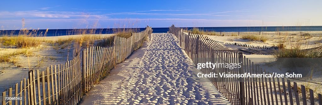 "Pathway and sea oats on beach at Santa Rosa Island near Pensacola, Florida"