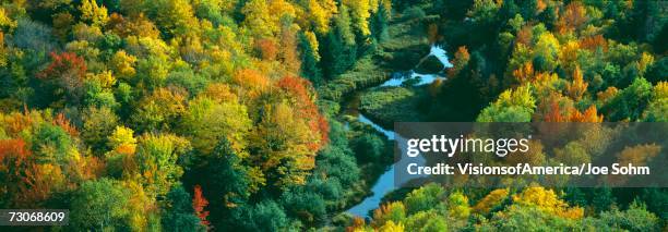 "autumn color at porcupine state park, michigan's upper peninsula, michigan" - parque estatal porcupine mountains - fotografias e filmes do acervo