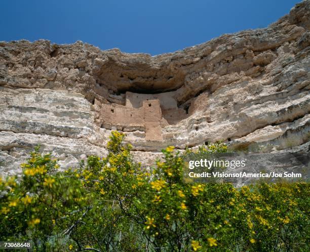 "montezuma castle, arizona" - montezuma castle stockfoto's en -beelden