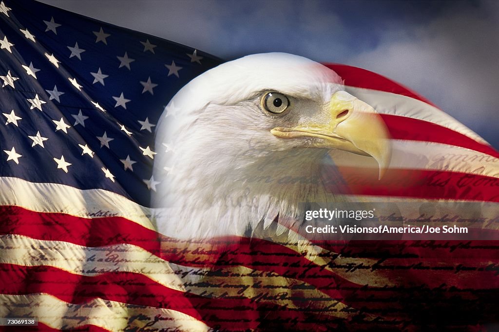 Digital composite: American bald eagle and flag is underlaid with the handwriting of the US Constitution