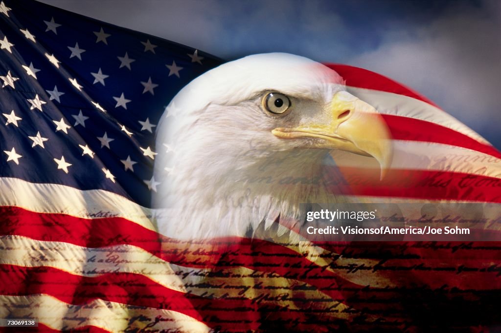 Digital composite: American bald eagle and flag is underlaid with the handwriting of the US Constitution