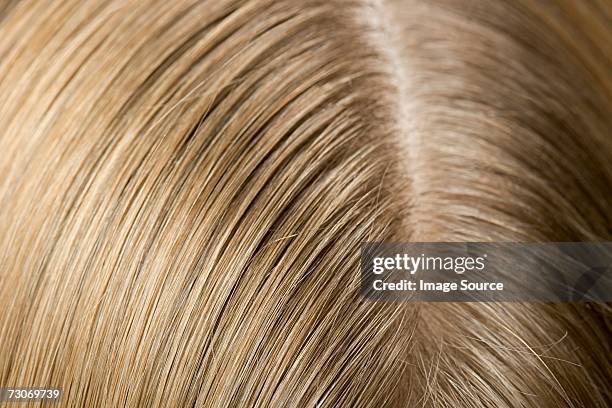 ouvido e cabelo de uma mulher - cabelo partido imagens e fotografias de stock