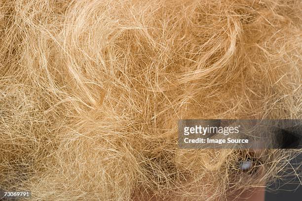 woman with frizzy hair - frizzy stock pictures, royalty-free photos & images