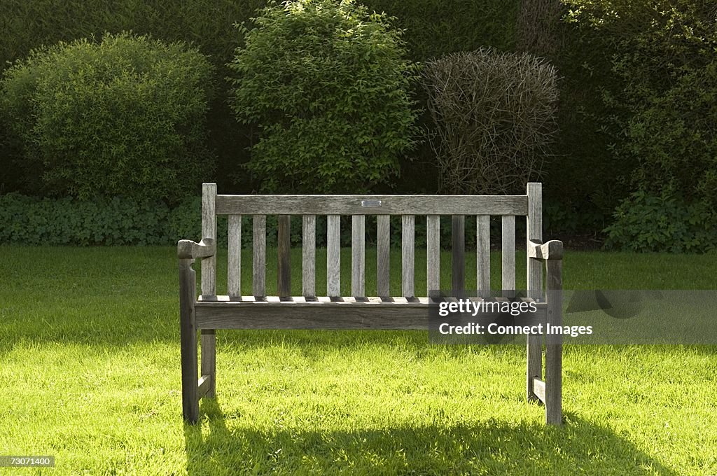 Bench in a park