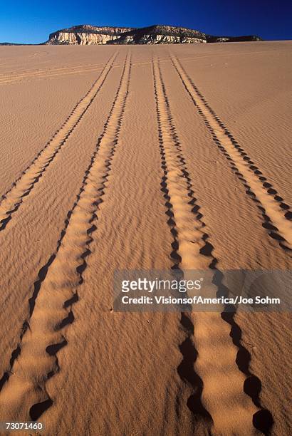"off road vehicle tracks in sand, coral pink sand dunes state park, utah" - coral pink sand dunes state park stock pictures, royalty-free photos & images