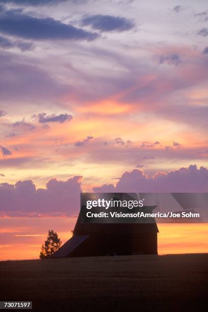 "barn at sunset in silhouette, davenport, wa" - dawn davenport 個照片及圖片檔