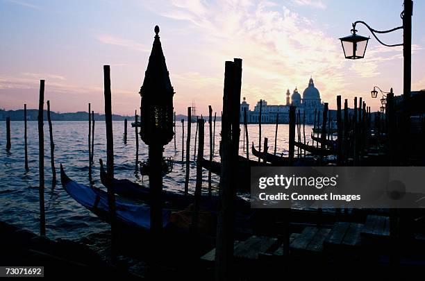 venice - venice italy night stock pictures, royalty-free photos & images