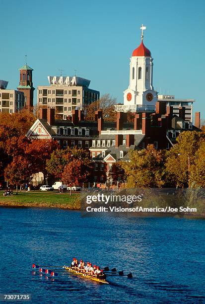 "harvard university rowing crew at the autumn regatta in cambridge, massachusetts" - cambridge massachusetts fotografías e imágenes de stock