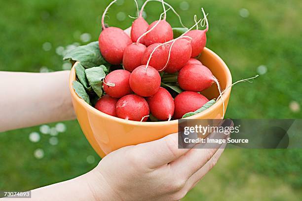child holding bowl of radishes - 0703ef stock pictures, royalty-free photos & images