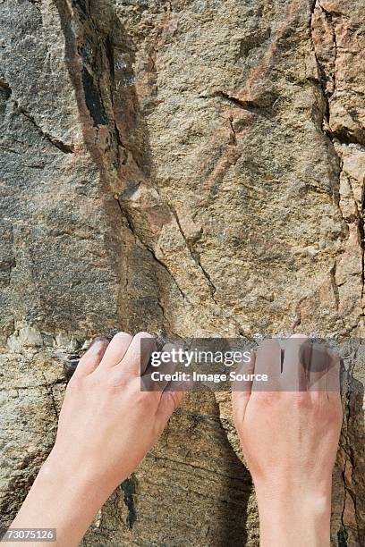 a rock climbers hands - climber hands bildbanksfoton och bilder