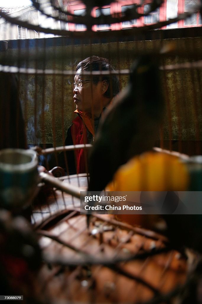 Traditional Laohuzao Teahouse In Shanghai