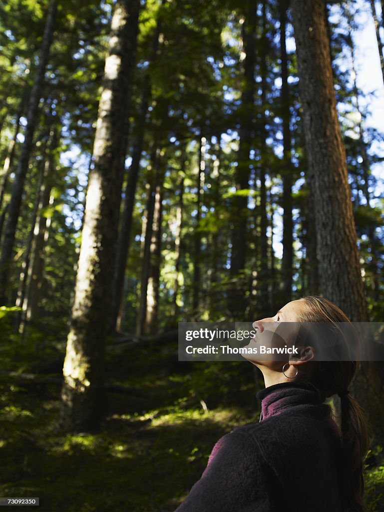 Woman in forest, looking up