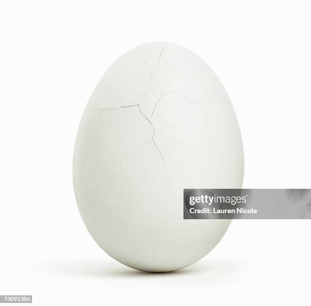 egg, cracks on surface, close up - animal egg stockfoto's en -beelden