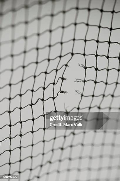 hole in netting - fish net stock pictures, royalty-free photos & images