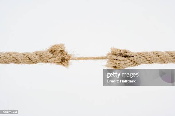 frayed rope - corda imagens e fotografias de stock