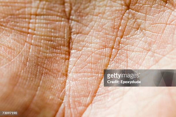 close-up of palm of hand - skin texture stock pictures, royalty-free photos & images