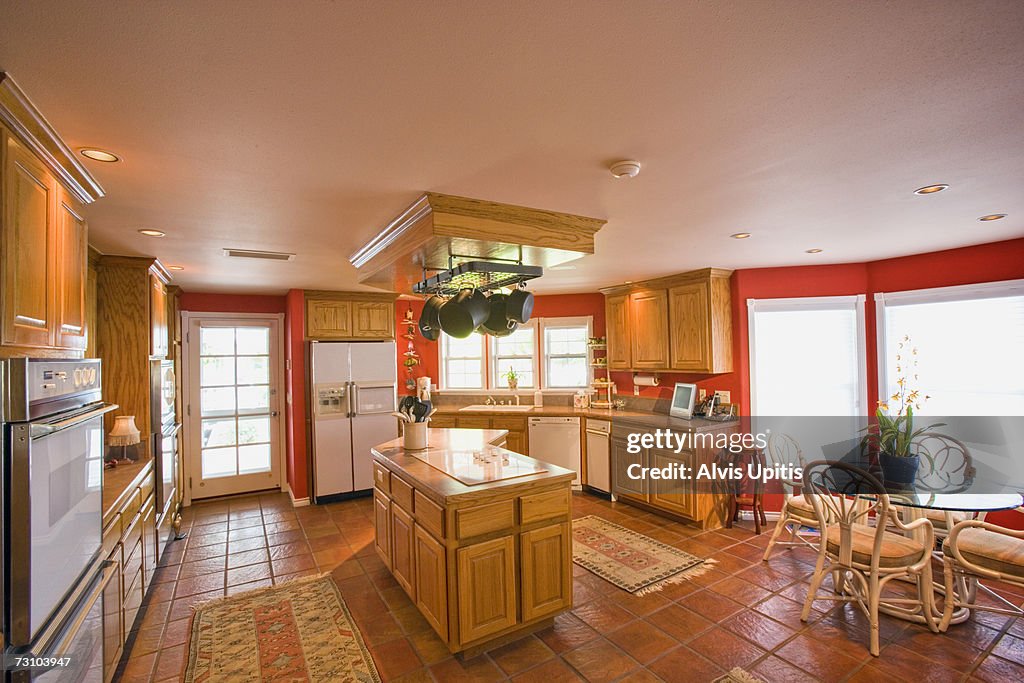 Domestic kitchen