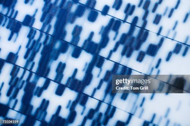dna sequence, close-up - dna sequence stock pictures, royalty-free photos & images