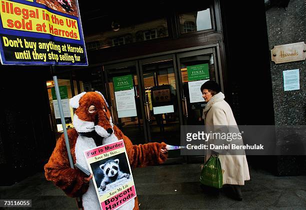 An animal rights campaigner ,dressed as a fox, hands out leaflets outside Harrods department store on January 26, 2007 in London, England. CAFT...