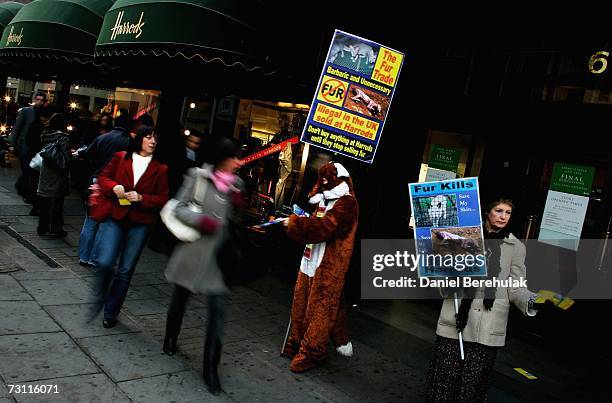 An animal rights campaigner, dressed as a fox, hands out leaflets outside Harrods department store on January 26, 2007 in London, England. CAFT...