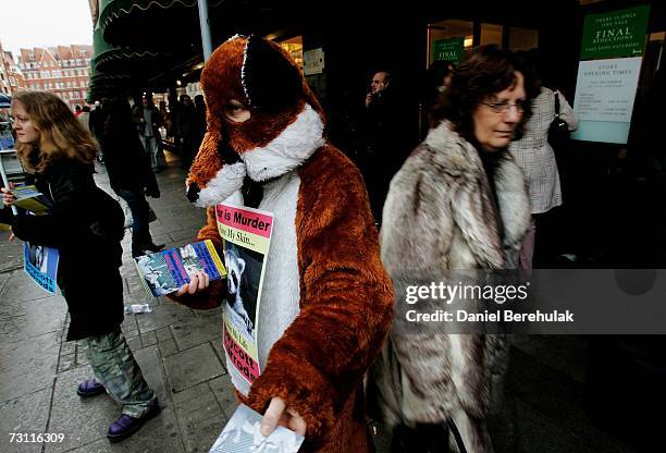 An animal rights campaigner dressed as a fox hands out leaflets outside Harrods department store on January 26, 2007 in London, England. CAFT...