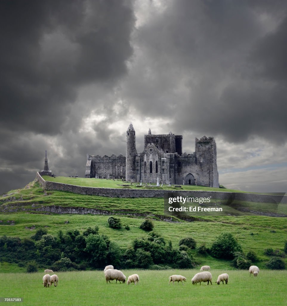 Heavy clouds over Rock of Cashel, sheep grazing on foreground, Cahir, County Tipperary, Ireland