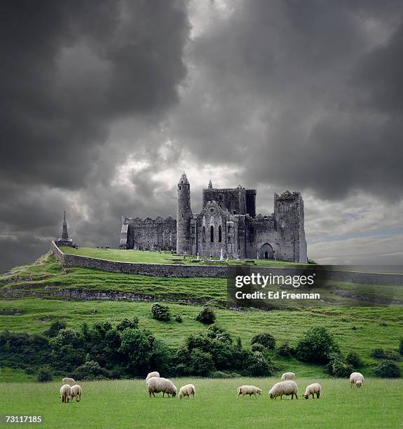 heavy clouds over rock of cashel, sheep grazing on foreground, cahir, county tipperary, ireland - castle stockfoto's en -beelden