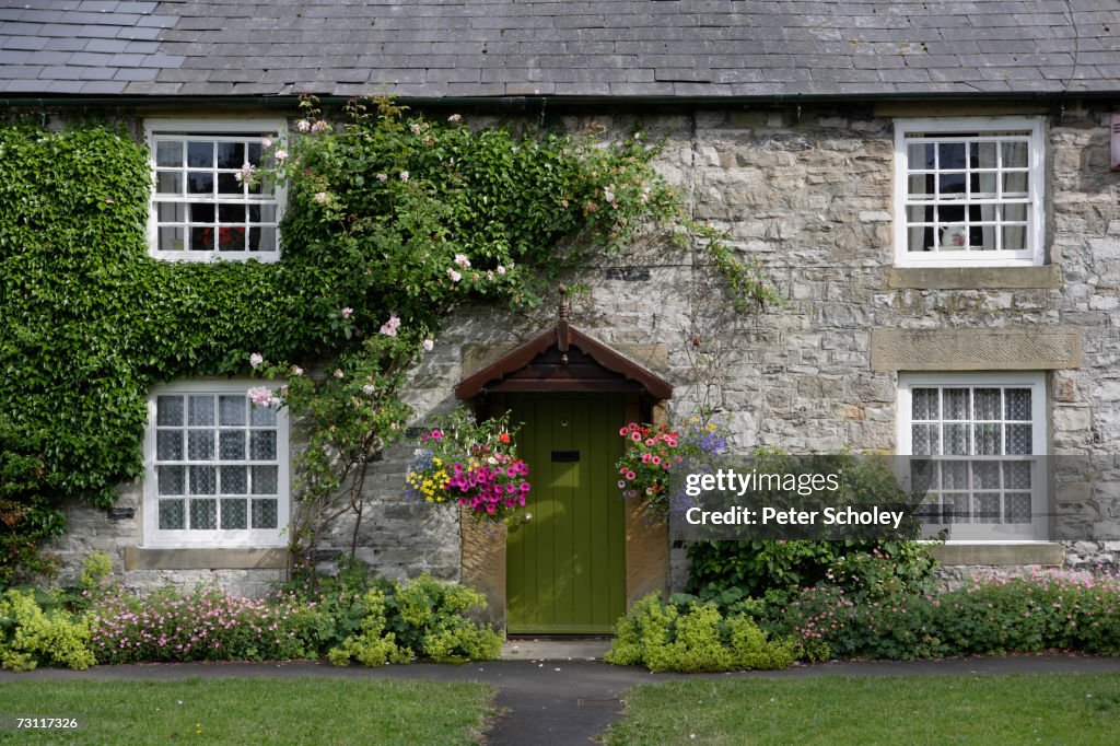 England, Derbyshire, Peak District, Ashford-in-the-Water, country cottage with ivy on wall