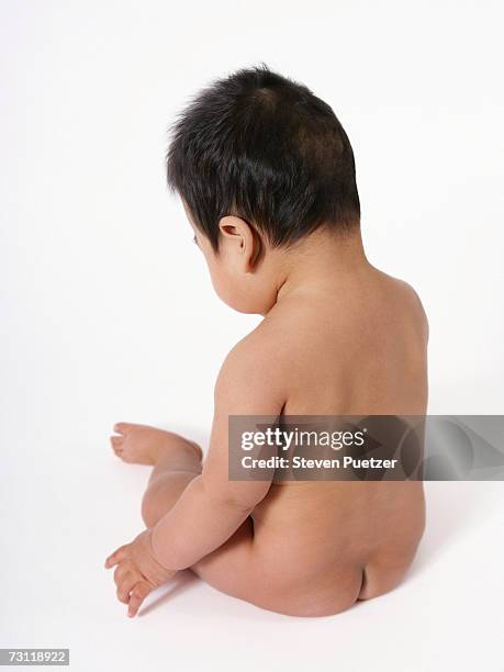 baby boy (19 months) sitting, rear view - boys bare bum stock pictures, royalty-free photos & images