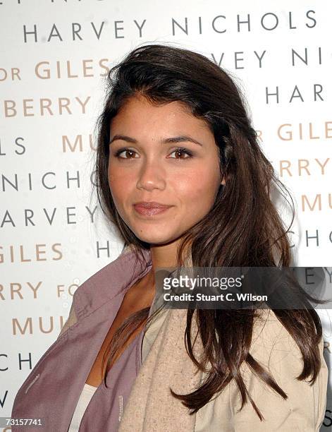 Jamie Gunns attends the Mulberry For Giles Bags - Launch Party at Harvey Nichols on January 30, 2007 in London, England.
