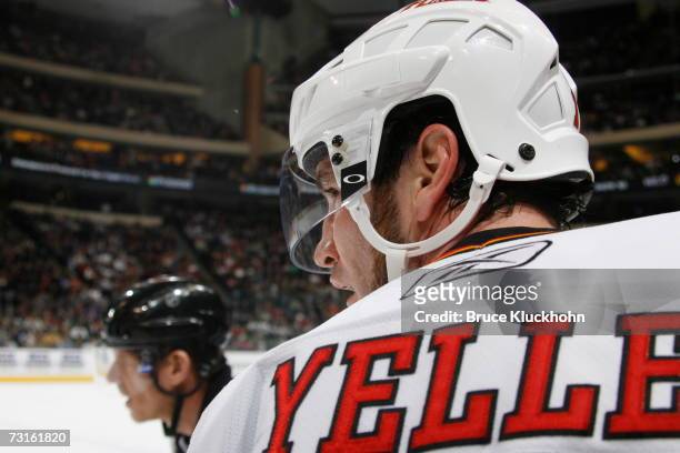 Stephane Yelle of the Calgary Flames watches the play against the Minnesota Wild during the game at Xcel Energy Center on January 26, 2007 in Saint...