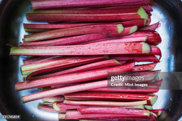 close up of a tray with fresh rhubarb. - rabarber stockfoto's en -beelden