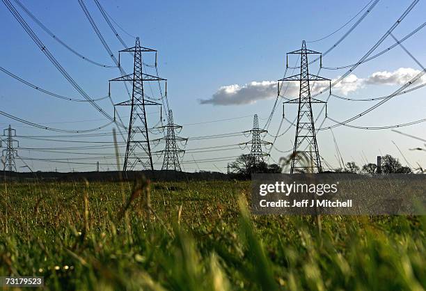 Electric pylons are pictured near on February 2, 2007 near Kincardine, Scotland. Reports by The Intergovernmental Panel on Climate Change , made up...