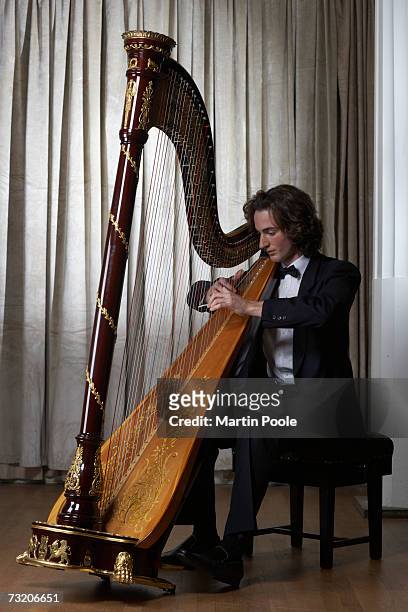 man playing harp, full length - klassisk musiker bildbanksfoton och bilder