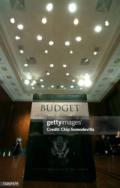 Copies of US President George W. Bush's fiscal year 2008 budget were delivered to the Senate Budget Committee at the Dirksen Senate Office Building...