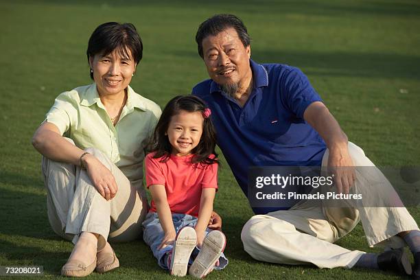 grandparents with granddaughter (4-5) in park, portrait - 45 49 år bildbanksfoton och bilder