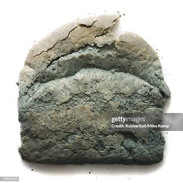 moldy slice of bread - moldy bread stock pictures, royalty-free photos & images