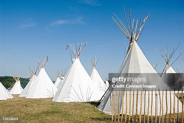 teepees in a field - wigwam stockfoto's en -beelden
