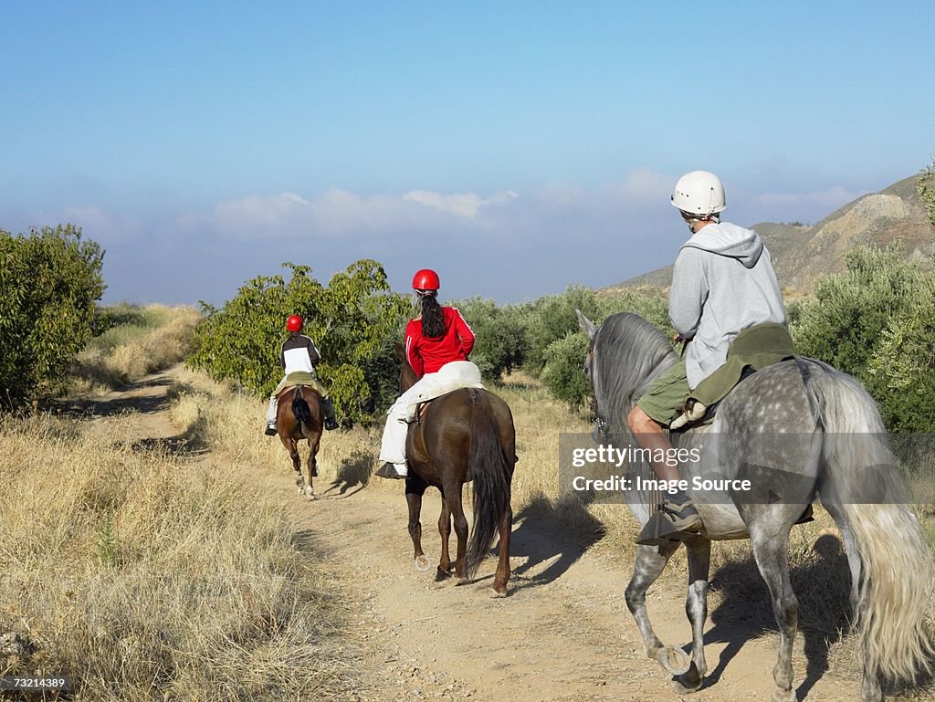 Teenagers riding horses