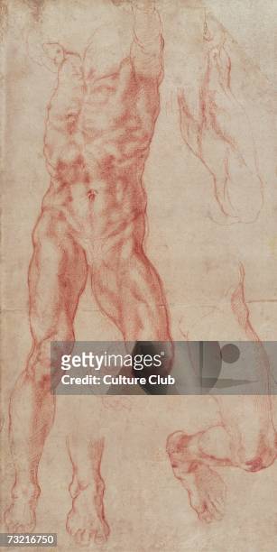 Study of a male nude, stretching upwards