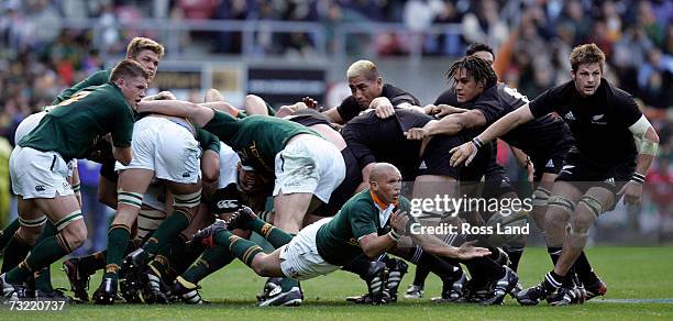 Caw Back Photos and Premium High Res Pictures - Getty Images