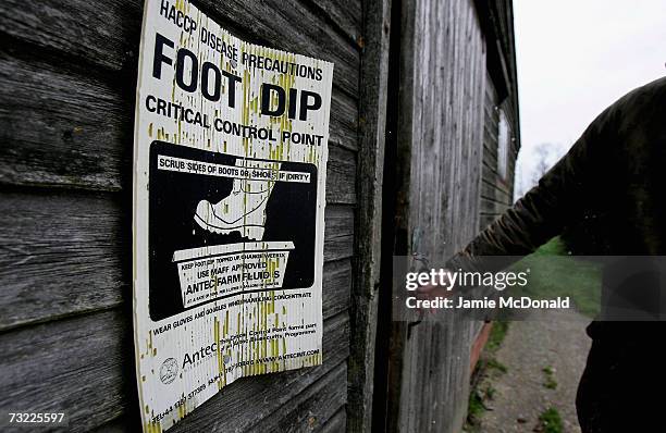 Foot dip critical control point is pictured at a Suffolk Battery Chicken farm on February 6, 2007 in Suffolk, England. Russia, Ireland, Hong Kong,...