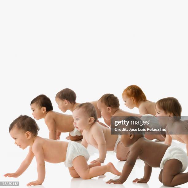 studio shot of babies in diapers crawling - crawl stock pictures, royalty-free photos & images