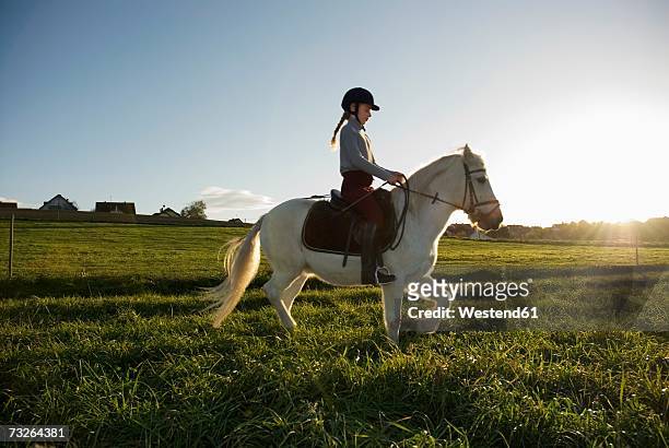 girl (7-9) riding pony, side view - 乗馬帽 ストックフォトと画像