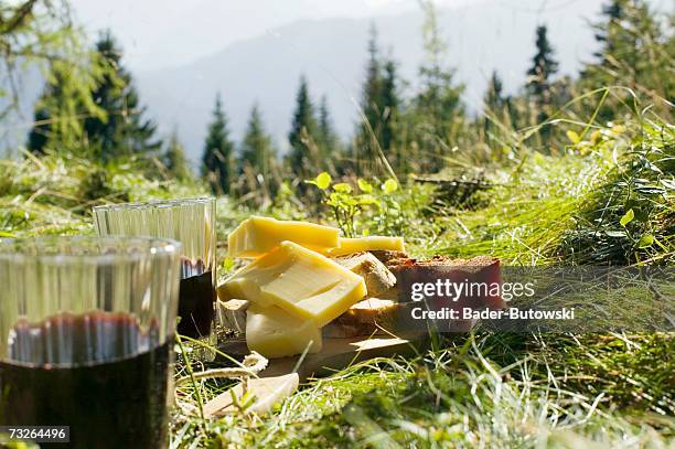 bread, cheese and ham by glasses with red wine in meadow - alm stock-fotos und bilder